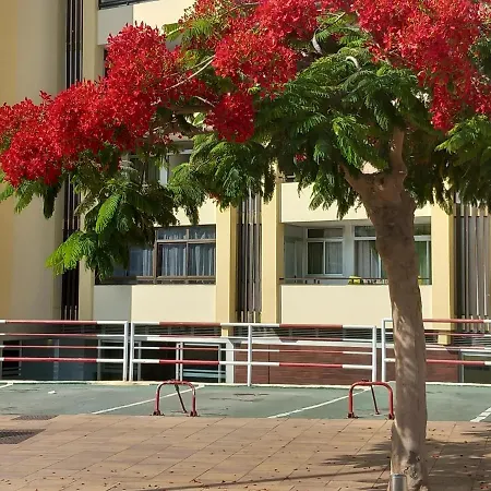 Tropical House Near Beach&yumbo Daire San Bartolomé